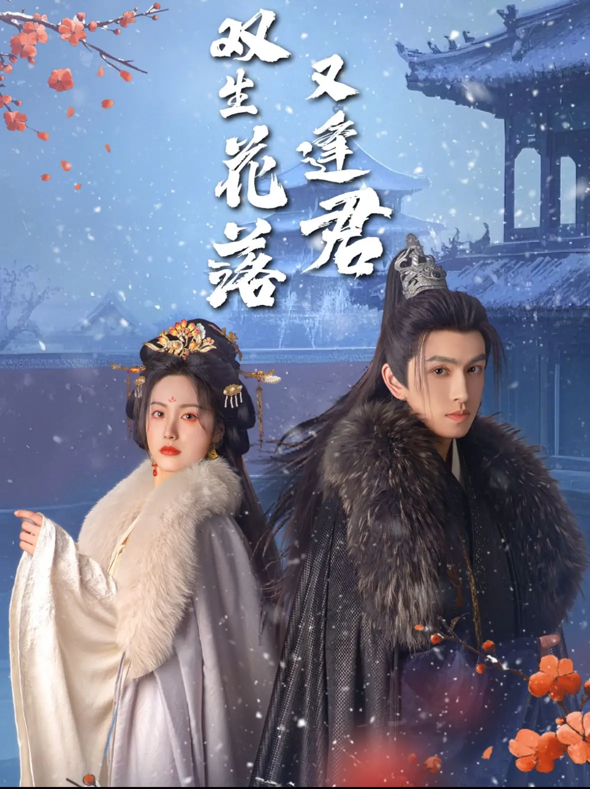 《音乐缘计划2024》：用旋律点燃梦想，年度治愈系音乐电影深度解析