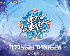 妻子的浪漫旅行第六季 海报